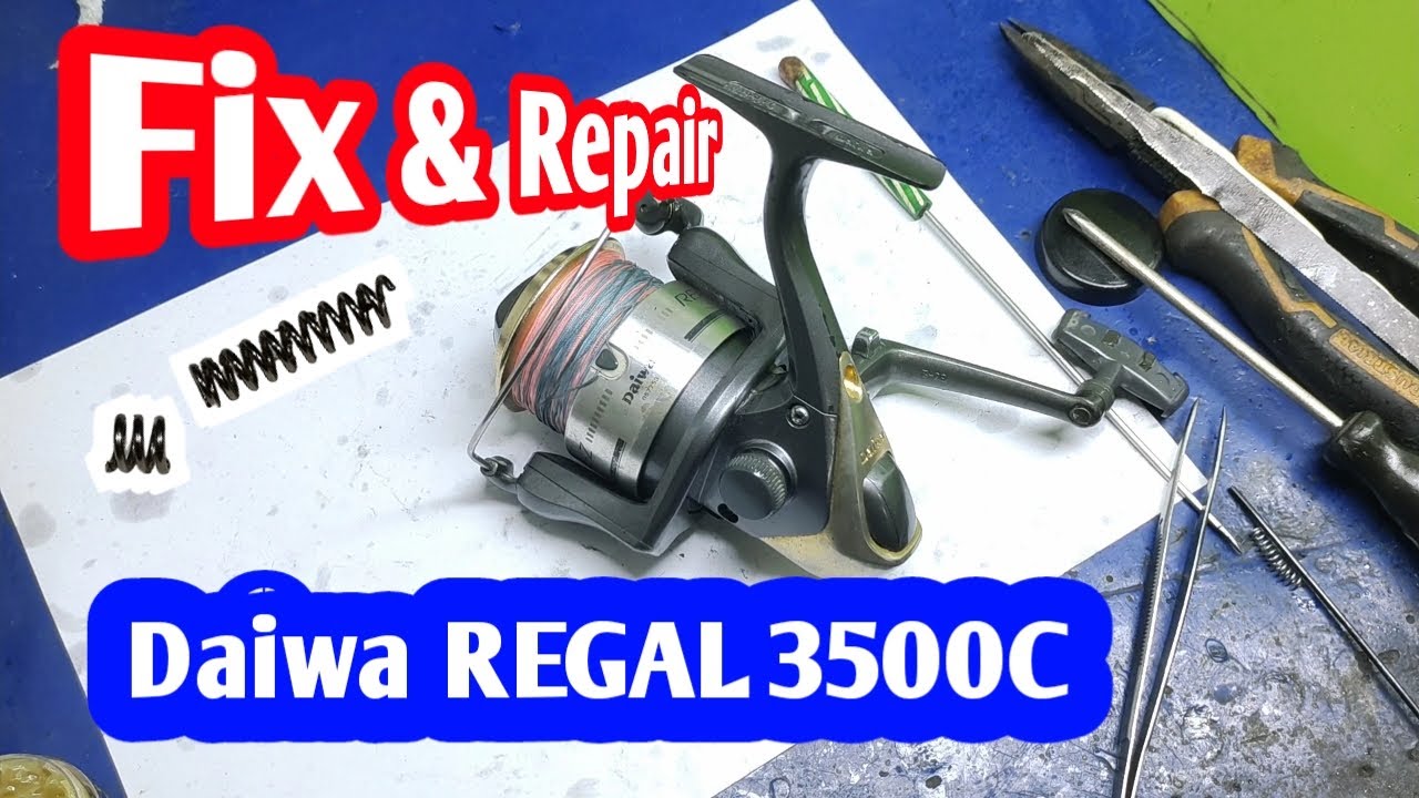 Daiwa Regal 3500 & 4000 BRi bait feeder fishing reel take apart and service  