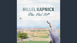 Video thumbnail of "Hillel Kapnick & Hudi Kowalsky - Ani Ledodi"
