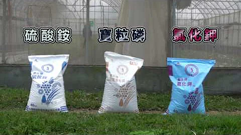 如何利用單質肥料自行混拌出複合肥料的比例 - 天天要聞