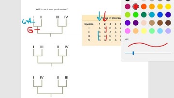 Find the most parsimonious tree