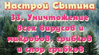 Уничтожение всех вирусов и микробов, грибков и спор грибков настрой Сытина