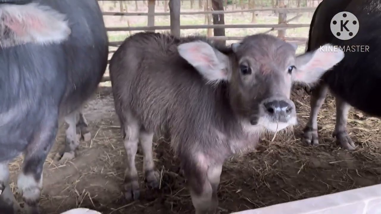 14 ธันวาคม ค.ศ. 2025