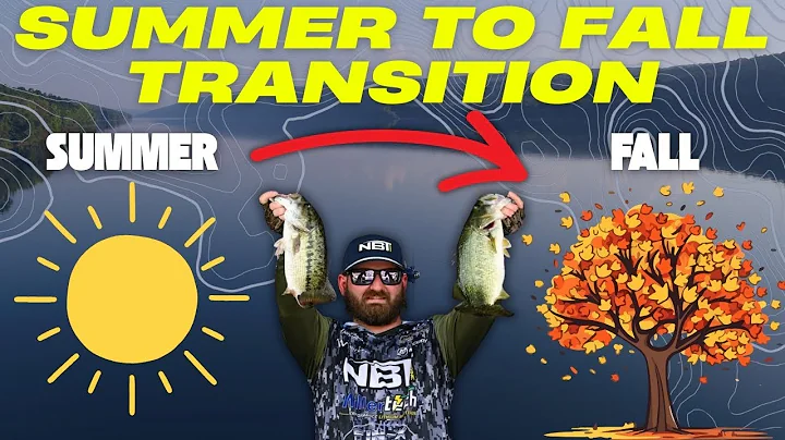 Pro Tips to Catch More Bass in the Summer to Fall Transition!