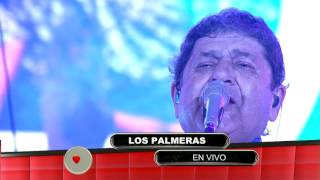 Video thumbnail of "Los Palmeras en vivo en Pasion de Sabado 06/05/2017"