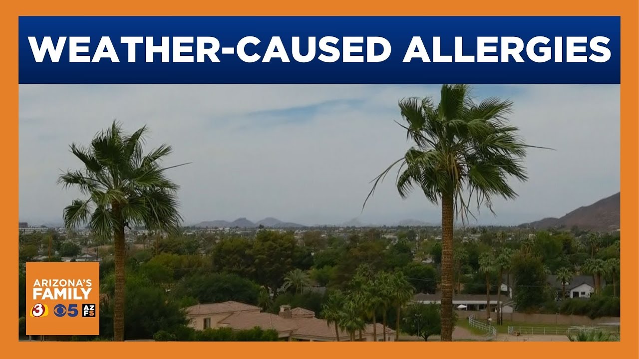 Ветреная погода может вызвать аллергию в Аризоне