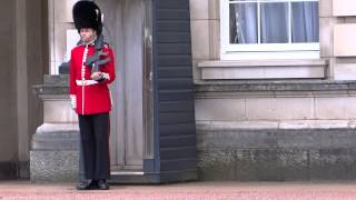 Queen's Guard at Buckingham Palace-Garda Reginei de la Palatul Buckingham