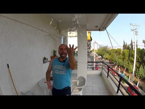 Vaggelis Kakoulakis-Epitelous