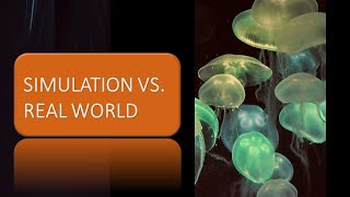 Simulation vs. Real World