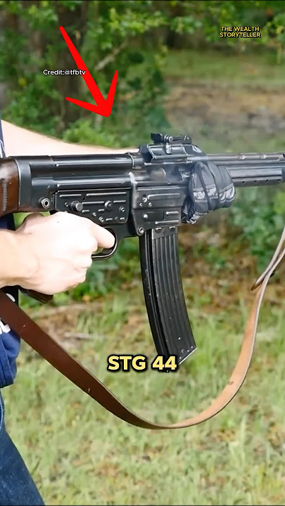 What Really Happened to the StG 44 After WWII? #shorts