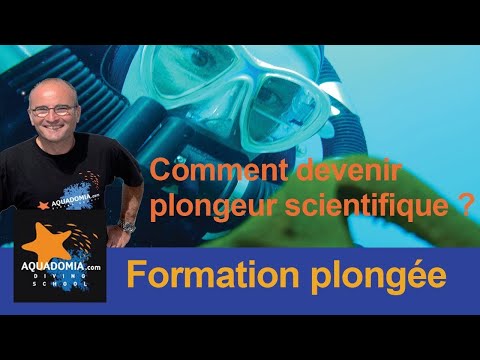 Vidéo: Comment Devenir Plongeur