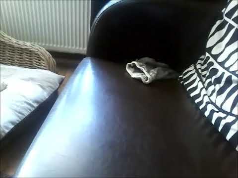 Radio scout DJ Maurice gemeente Tubbergen