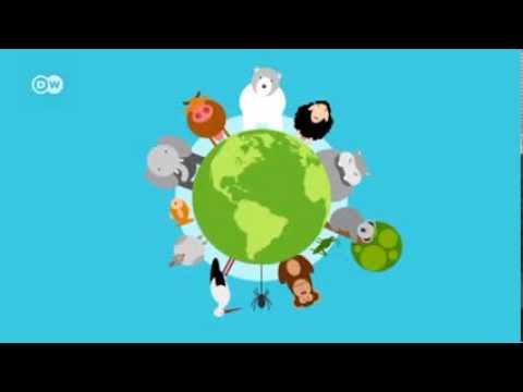 Video: Wie wirkt sich die globale Erwärmung auf Pflanzen und Tiere aus?