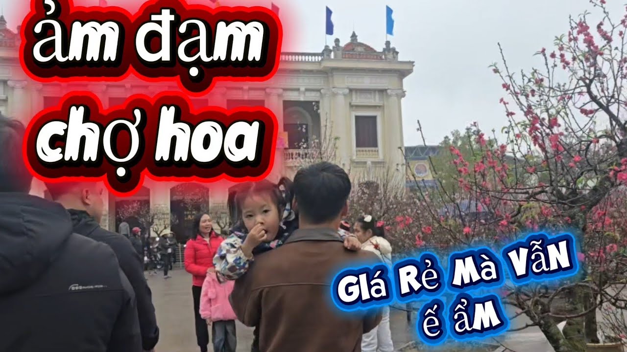 Ảm đạm buỏi chiều mưa chợ hoa cây cảnh ngày cuối năm 