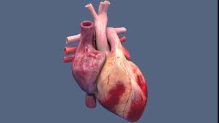 realistic heart video Merge