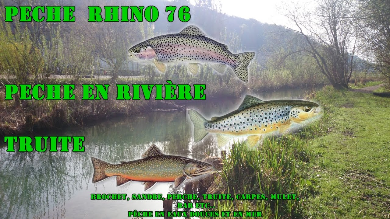 peche truite 76