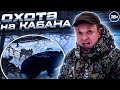 ВОЛЧИЦА и КОБЕЛЬ рвут КАБАНА. МЕДВЕДЬ в ШОКЕ!