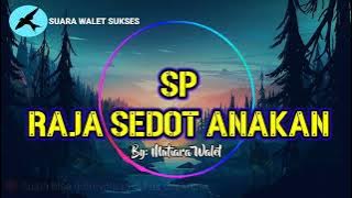 🔴SUARA PANGGIL WALET SP RAJA SEDOT ANAKAN ORIGINAL‼️ By: MUTIARA WALET Suara Panggil Walet Sukses..!