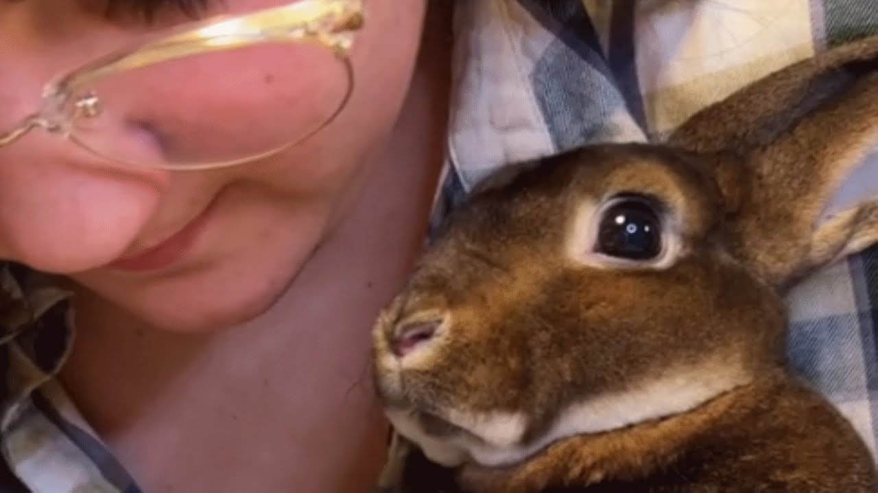 'Ugly' bunny scores the girlfriend of his dreams