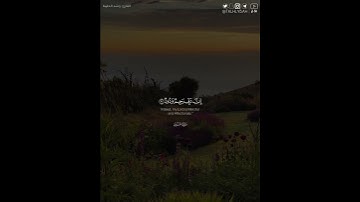 ﴿وَاستَغفِروا رَبَّكُم ثُمَّ توبوا إِلَيهِ إِنَّ رَبّي رَحيمٌ وَدودٌ﴾| القارئ: راشد الحليبة