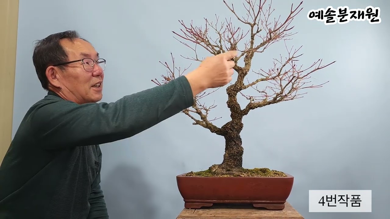 분재쇼핑-  2026년 1월 27일