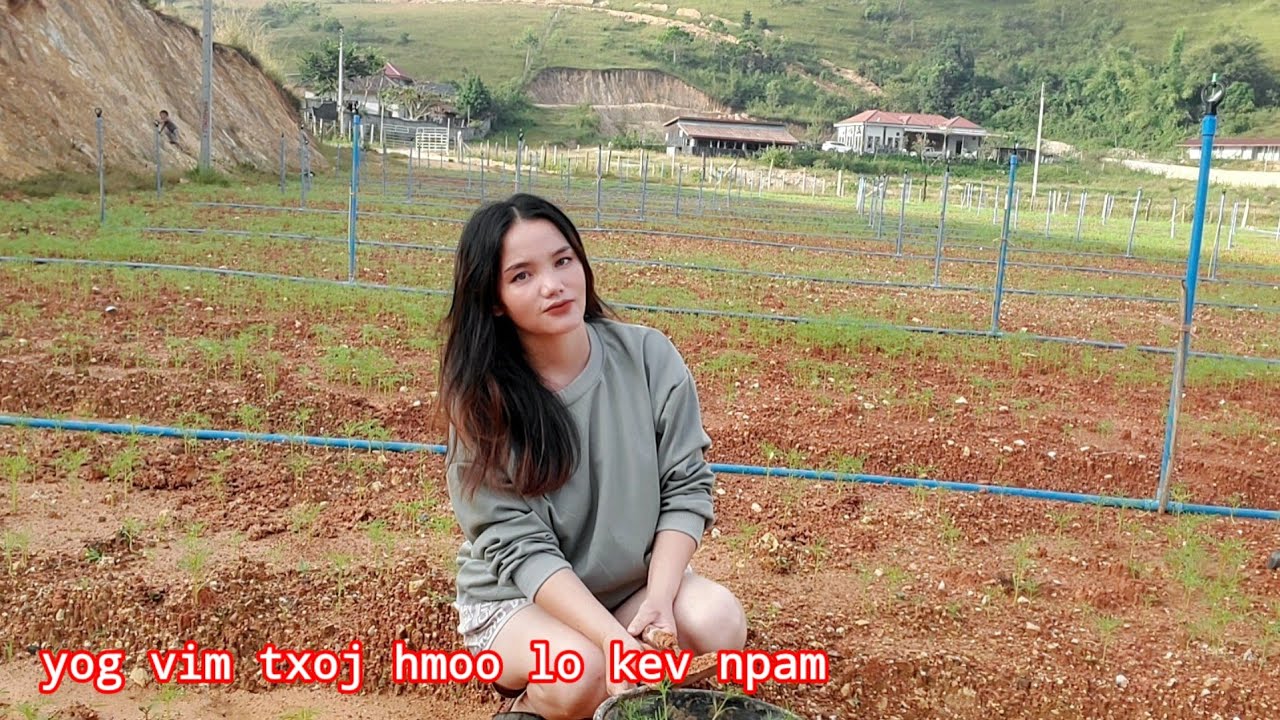 Yog vim txoj hmoo lo kev npam 6/10/2025