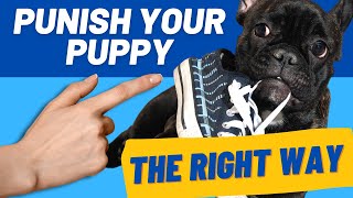 Puppy Discipline: Punish Your Puppy The Right Way