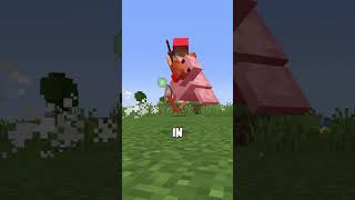 do not kill too many chickens...