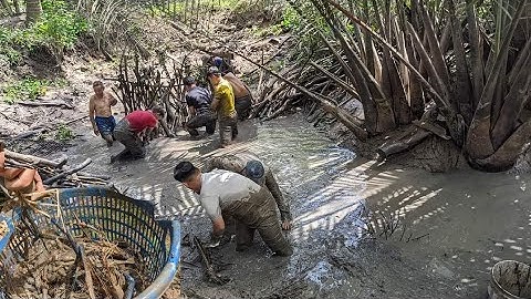Về quê miền tây bắt cá, tôm ăn tết | Kavin Nguyễn