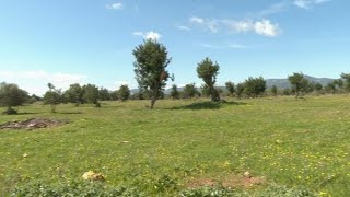 Bunyola acollirà el major parc fotovoltaic de Mallorca