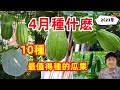 4月種什麼，10種最值得種的瓜果，一棵收100多個瓜，60天有採收，不用搭架，可以保存一年 What to Grow in April/Mars Hydro TS 3000