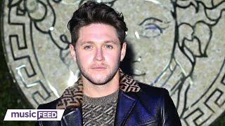 Niall Horan Fell 'Extremely Ill' On Flight & Fan Theories Run Wild!