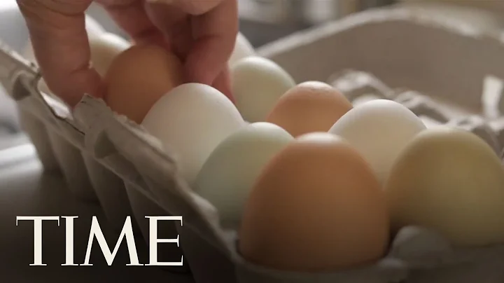 More Than 200 Million Eggs Recalled Over Salmonella Outbreak | TIME - DayDayNews