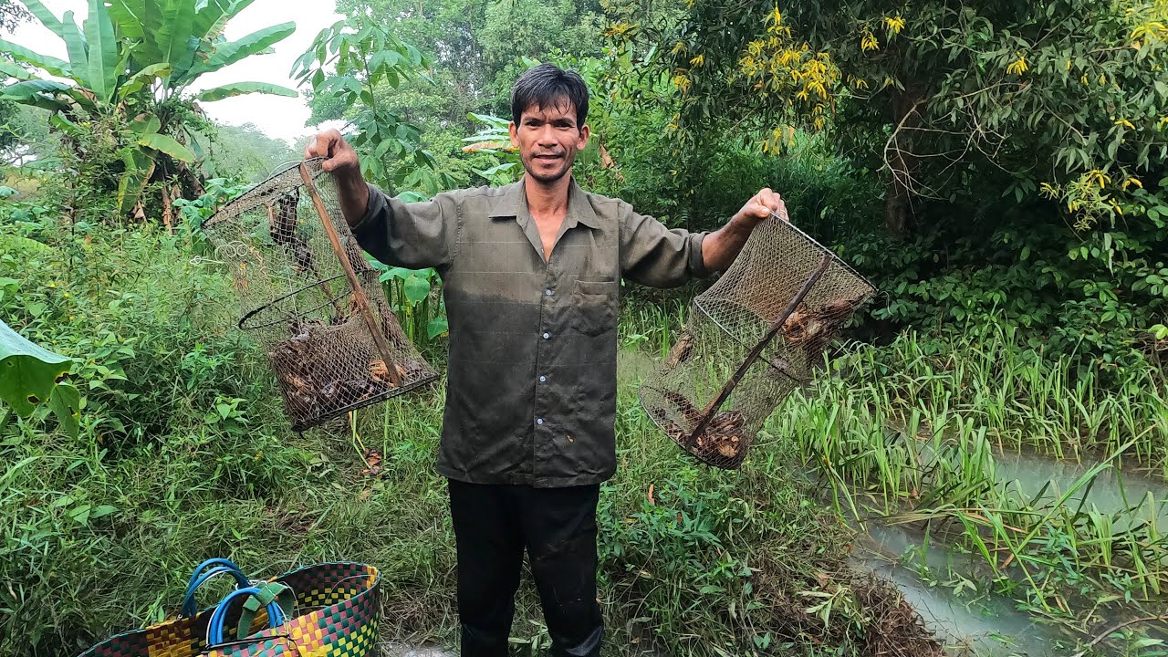 Thành Quả Của Video Hướng Dẫn Cách Đặt Bẫy Cua Đồng Từ A-Z Cho Người Mới | Bắt Cua Đồng | Phú 9 Vlog