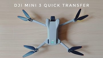 Dji mini 3 quick transfer