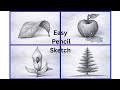 4 Easy Pencil Sketch Ideas for Beginners | Leaf, Apple, Flower & Tree Drawing Step by Step
