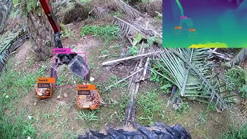 Depth estimation using MiDas on object detected using YOLOv3 tiny in palm oil estate.