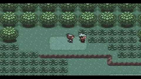 Pokemon Emerald Walkthrough(2)Meeting Treecko,My First Pokemon!