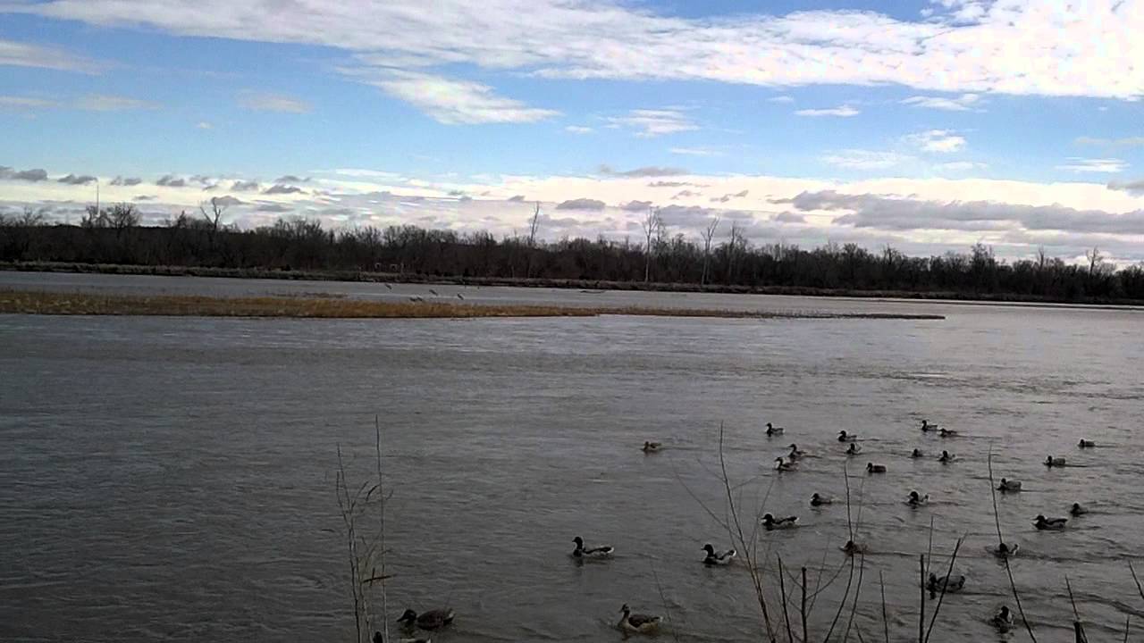 2012 Duck Hunting Nebraska (N) YouTube