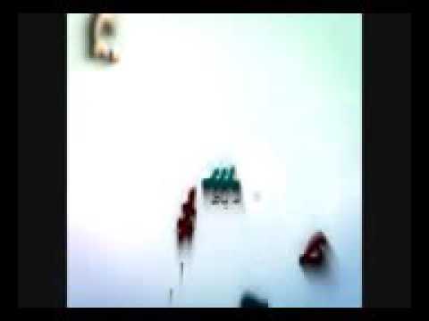 حوار نعي بين العباس ع والسيدة زينب ع الخطيب السيد محمد الصافي
