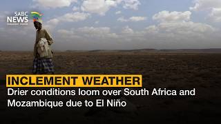 Drier conditions loom over South Africa and Mozambique due to El Niño