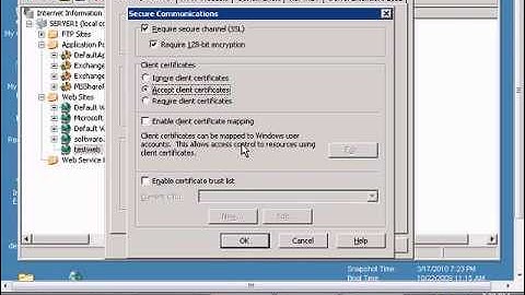 Setup accepting client certificates for a website in Windows IIS
