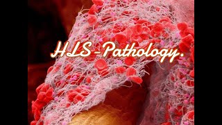 HLS-Pathology LEC 5 - ABCD
