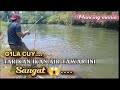 Umpan jitu mancing ambala  rio saputra asm