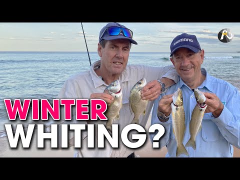 Beach Fishing With KING WORMS: You Will Catch Multiple Species