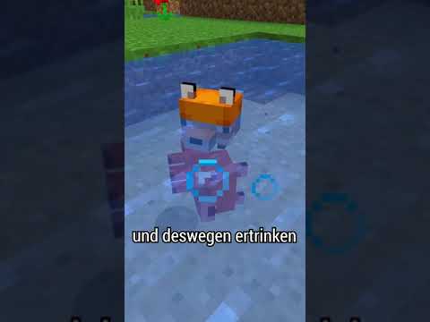 5 DINGE ÜBER MINECRAFT die du nicht wusstest (#1) #shorts