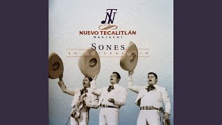 Video thumbnail of "Mariachi Nuevo Tecalitlán - El Son De La Negra"