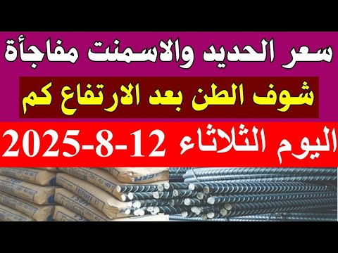 اسعار الحديد اليوم الثلاثاء 12 8 2025 في مصر