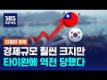 &#39;경제 규모 절반 수준&#39; 타이완에 점점 더 밀리는 한국증시, 왜? / SBS / 친절한경제