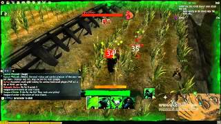 gw2 ebonhawk randomness