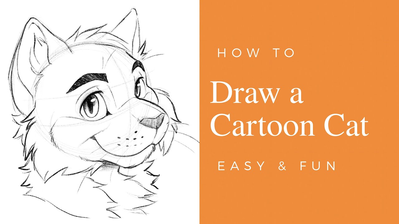 how to draw a cartoon cat face